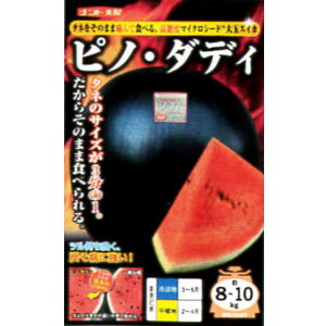 yʃXCJzsmE_fBi 5E100jyigcz q XCJ̎