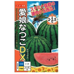 yʃXCJzȂDXi 7E200jyigcz q XCJ̎