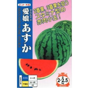 yʃXCJzi 7E200jyigcz q XCJ̎