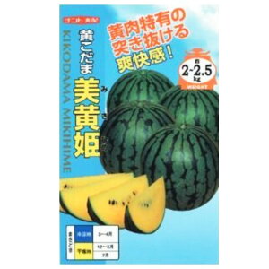 yʃXCJzPi 7E200jyigcz q XCJ̎