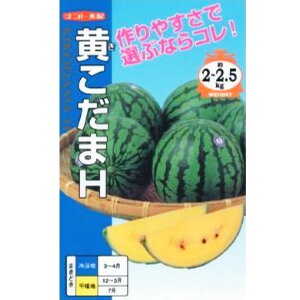 yʃXCJzHi 7E200jyigcz q XCJ̎