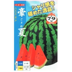 yʃXCJzāi 7E200jyigcz q XCJ̎