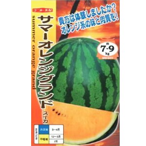 yʃXCJzT}[IWOhi 7E200jyigcz q XCJ̎