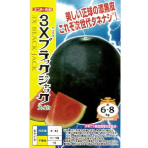 yV[hXXCJz3XubNWbNi8E100jyigcz q XCJ̎