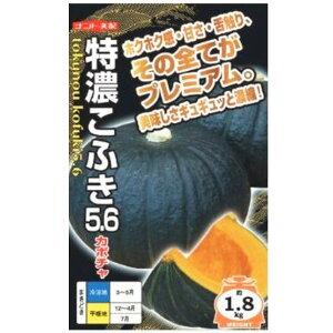 yJ{`zZӂ5.6i 7E100E500jyigcz q J{`̎