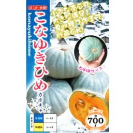 種【カボチャ】こなゆきひめ（小袋 6粒・100粒）【ナント種苗】野菜 種子 カボチャの種