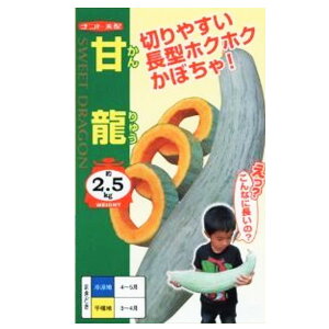 yJ{`z×i 5E100jyigcz q J{`̎