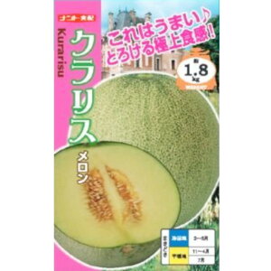 yzNXi 5E100jyigcz q ̎