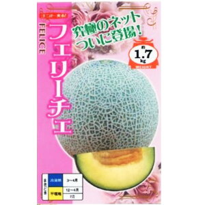 yztF[`Fi 5E100jyigcz q ̎