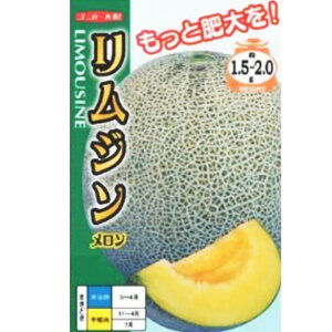 yzWi 5E100jyigcz q ̎