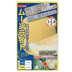 yz[Cgi 5E100jyigcz q ̎