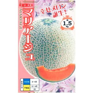 yz}A[Wi 5E100jyigcz q ̎