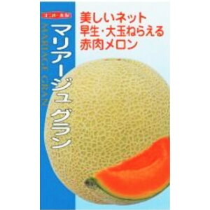 yz}A[WEOi 5E100jyigcz q ̎