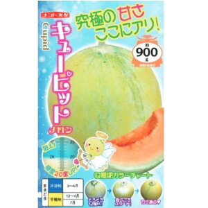 yzL[sbgi 8E100jyigcz q ̎