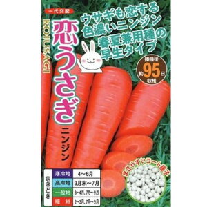 yjWziR[g 250ER[g 1jyigcz q ɂ񂶂̎