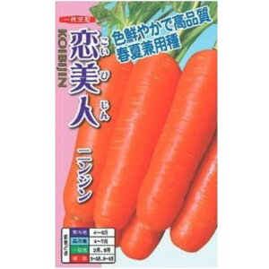 yjWzli 4mlE20mlE2dl ER[g1jyigcz q ɂ񂶂̎