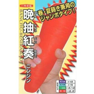 yjWzӒgti 4mlE20mlE2dl ER[g1jyigcz q ɂ񂶂̎