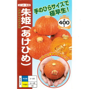 yJ{`zPi 6E100jyigcz q J{`̎