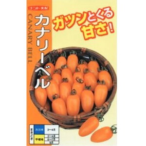 y~jg}gzJi[xi 20E500jyigcz q g}g̎