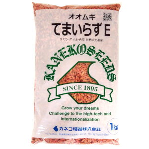 1kg`10kg  yrO}`pzĂ܂炸EiIIMjyJlRczΔp