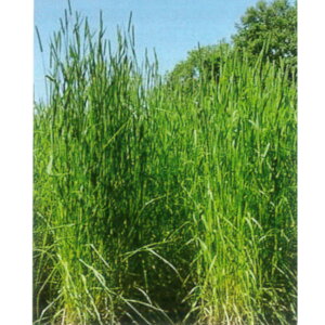 1kg`22.5kg qqy`V[zȂ҂肩ijyJlRczp