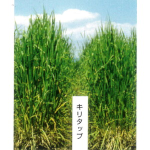 1kg`22.5kg qqy`V[zL^bvijyJlRczp