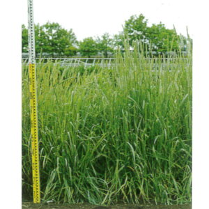 1kg`22.5kg qqy`V[zNC}bNXij yJlRczp / Ήp