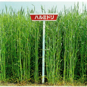 1kg`20kg qqyCMzn~hiɑjyJlRczΔ@q q