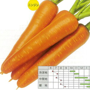 yɂ񂶂zg启yJlRcz q