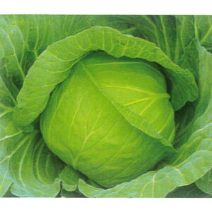 yLxczV΁i2500jyJlRcz؁@Lxc̎