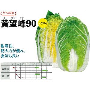 ynNTCz]90i20mlEybgq5000jyJlRcz؎q