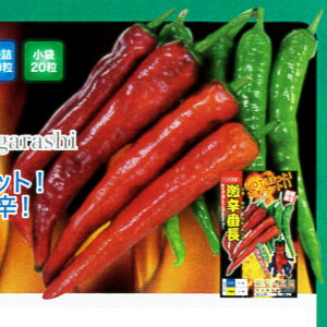 yƂ炵zhԒi20E500jyigcz q