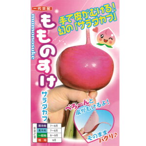 yJuẑi1mlE20mlE1dljyigcz q