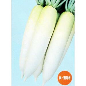 y_CRz~l88i4mlE20mlE2dljyigcz q 卪̎