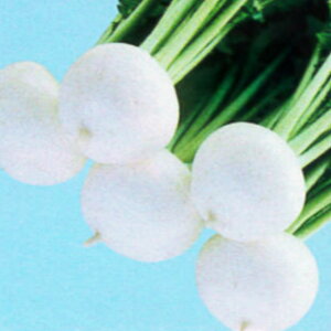 yJuzܑ݂20mlE2dlyigcz q