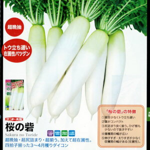 y_CRz̍ R[gq3L 5000yigcz q 卪