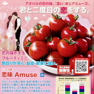 y~jg}gzg}g [Amuse] i500jyigcz q