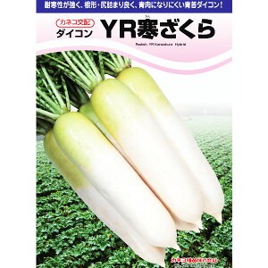 y_CRzYR i20mllE2dllEybg5痱ljyJlRcz q@卪 ̎