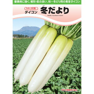 y_CRz~ i20mllE2dllEybg5痱ljyJlRcz q@卪 ̎