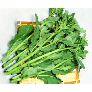 yAuiẑ炿؁yJlRcz؁@q