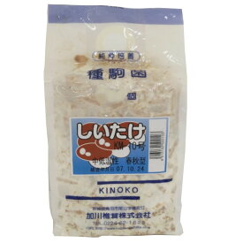 【きのこ種駒菌】加川 しいたけ菌 KM-10号（250駒・500駒・1000駒）＜中低温性＞春・秋型 種菌