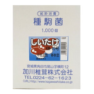 ŷہz  KM-10i250E500E1000jቷtEH^ 