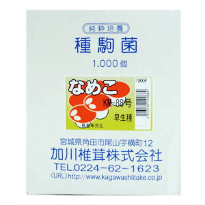 ŷہz Ȃ߂ KM-88i250E500E1000j큄 