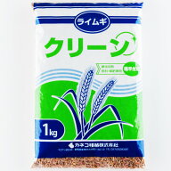 ＜1kg / 20kg＞牧草種子【ライムギ】クリーン（極早生）【カネコ種苗】緑肥　種子