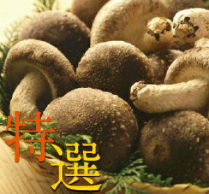 ` iot@[yIz ő ij700g