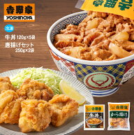 吉野家 牛丼120g×5袋&唐揚げ250g×2袋 並盛 吉野家冷凍牛丼 送料無料 からあげ 唐揚げ 冷凍 牛丼 牛肉 …