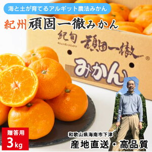 ݂ IB a̎R Ԍ ňO݂ ip 3kg ԏGi   Yn Òn Â AMbg_@  Mtg ̂Ήs