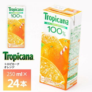 LrobW gsJ[i 100% IW 250ml×24{  ʏ`100% ʏ` pbN 퉷ۑ ZkҌ 񂶃W[X ݂