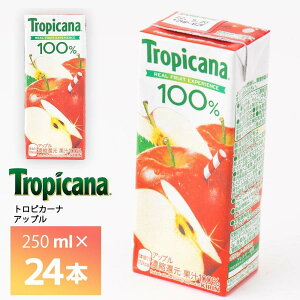 LrobW gsJ[i 100% Abv 250ml×24{  ʏ`100% ʏ` pbN 퉷ۑ ZkҌ 񂲃W[X S ь