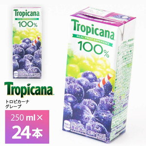 LrobW gsJ[i 100% O[v 250ml×24{  ʏ`100% ʏ` pbN 퉷ۑ ZkҌ ԂǂW[X uhEW[X W[X